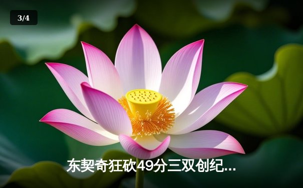 东契奇狂砍49分三双创纪录，独行侠加时险胜篮网迎五连胜 - 3